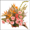 Beautiful Glance - Click here to View more details about this Product